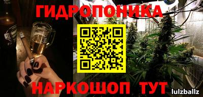 индика Кулебаки