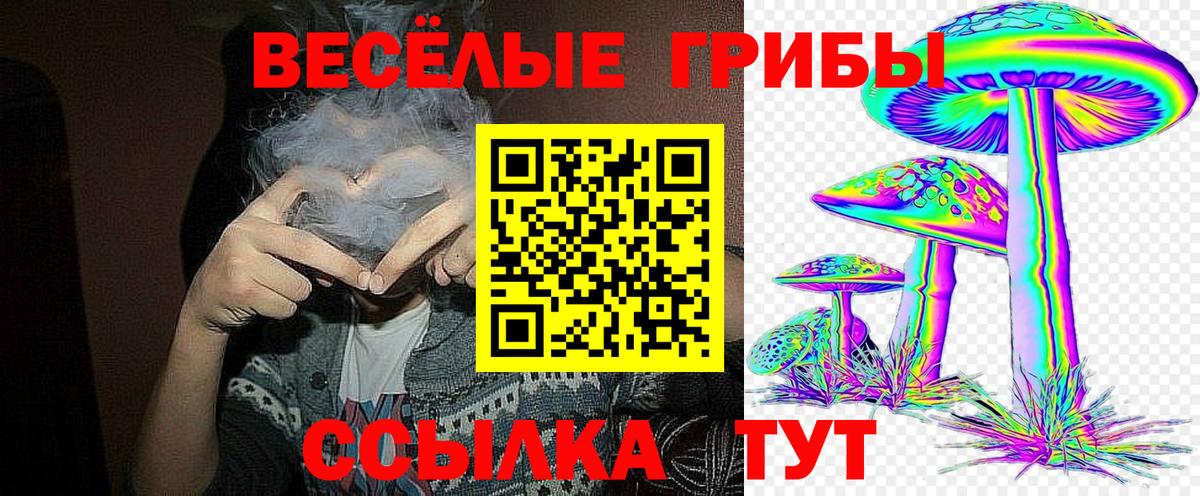 Каменск-Шахтинский  Галлюциногенные грибы ЛСД  Вход с VPN  Псилоцибиновые грибы мицелий 